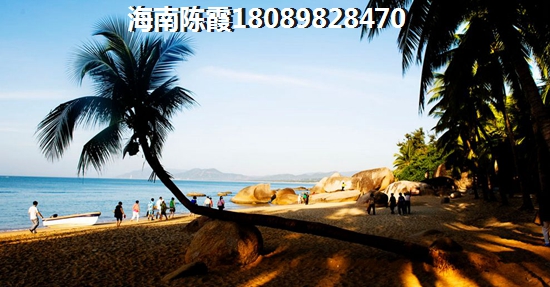 清炒藕怎么炒好吃吗